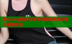 糖心vlog精彩分享夸克网盘高速存储与便捷体验