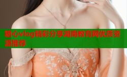 糖心vlog精彩分享湖南教育网优质资源推荐