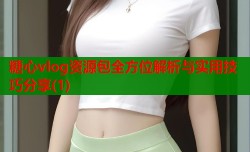 糖心vlog资源包全方位解析与实用技巧分享(1)