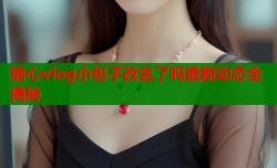 糖心vlog小包子改名了吗最新动态全揭秘
