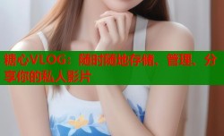 糖心VLOG：随时随地存储、管理、分享你的私人影片