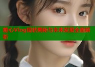 糖心Vlog现状揭秘与未来发展全面解析