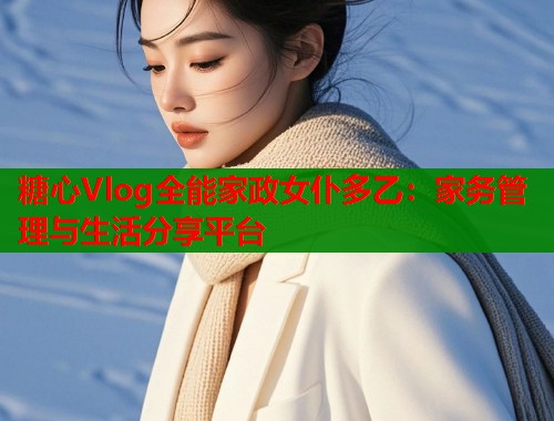 糖心Vlog全能家政女仆多乙：家务管理与生活分享平台  第1张