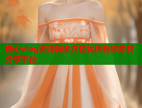 糖心vlog资源网全方位优质视频素材分享平台  第2张
